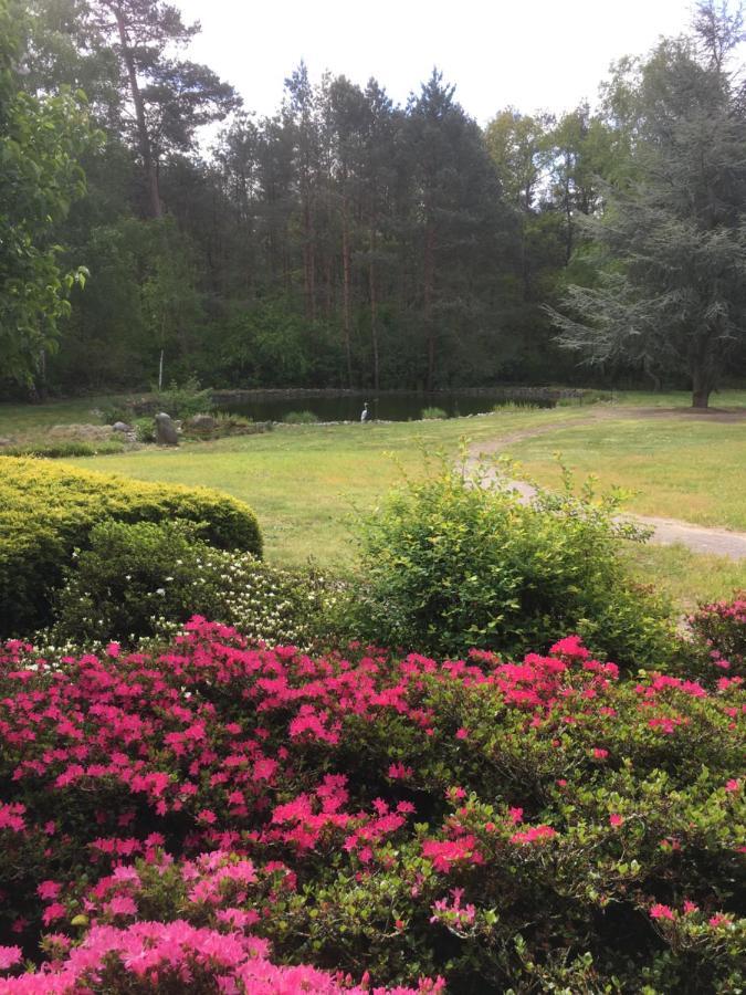 فندق Haus Am Parc مبن المظهر الخارجي الصورة